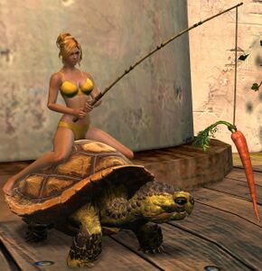 Meandering Tortoise Chair human female.jpg