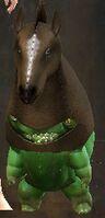 Mini Horse-Gourdon.jpg