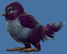 Mini Light Blue and Purple Cuckoo Hatchling.jpg
