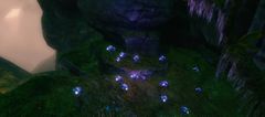 Skyclad Mushrooms.jpg