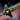 Slumbering Lightborne Greatsword.png