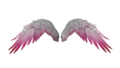 Thumbnail for version as of 04:40, 10 February 2016