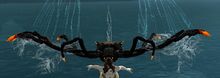 Arachnid Glider front.jpg