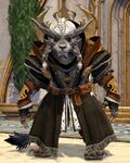 Astral Ward Protector charr male 1.jpg