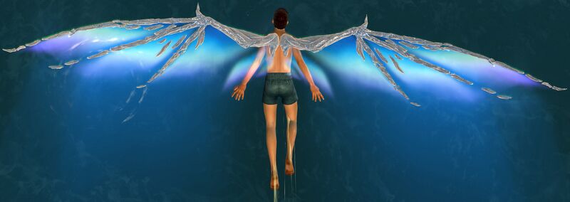 File:Aurene Wings Glider.jpg