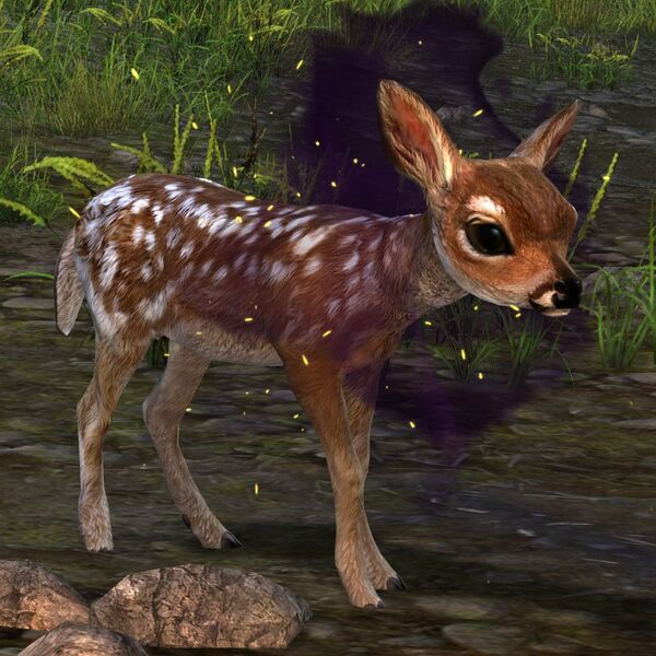 File:Fawn (Sickly).jpg