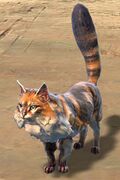 Garenhoff Forest Cat.jpg