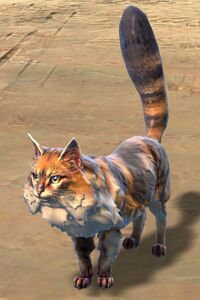 Garenhoff Forest Cat.jpg