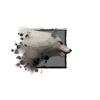 Alpine Wolf
