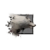Juvenile Alpine Wolf.png