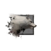 Juvenile Alpine Wolf.png