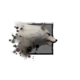 Juvenile Alpine Wolf.png