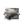 Juvenile Alpine Wolf.png