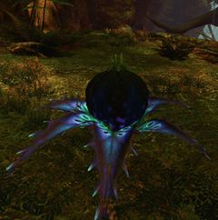 Mordrem Vine Pod.jpg