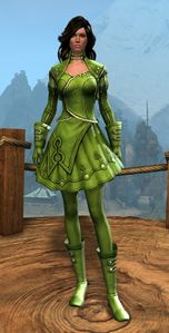 Appearance on light armor.
