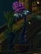 Potted Night Thistle.jpg