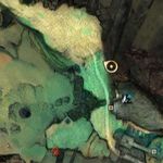 Rock Collector (Firestone 38 map).jpg