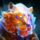 Star Blessed Tigris.png