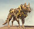 Trained Jackal.jpg