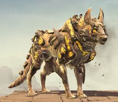 Trained Jackal.jpg