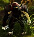 Whispers charr female medium 1 (HoT).jpg