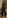 Astral Ward Protector human male 4 (weaponless).jpg