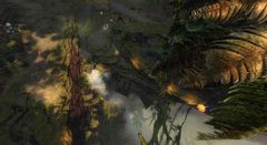 Bugs in the Branches.jpg