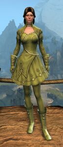 Appearance on light armor.