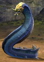 Cobalt Eel.jpg