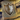 Desert Magics- Shield Edition.png