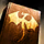 Elder Dragons and Star Navigation Theories Vol. III.png