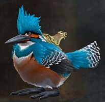 Fisher Lord Cuckoo.jpg