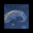 Flame Out (5).png