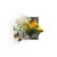 Juvenile Fern Hound.png