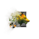 Juvenile Fern Hound.png