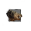 Juvenile Wallow.png