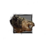 Juvenile Wallow.png