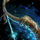 Lionguard Bow.png
