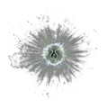Thumbnail for version as of 14:31, 5 November 2022
