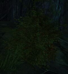 Rustling Bush (event object).jpg