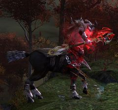 Siegemaster Immelhoof.jpg