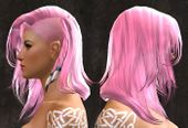 Unique norn female hair side 7.jpg