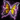 Butterfly Wings Backpack Set