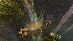 Champions Insight- Brisban Wildlands.jpg
