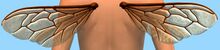 Dainty Bee Wings Backpack.jpg
