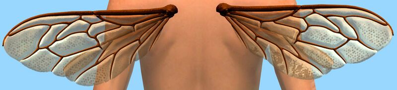 File:Dainty Bee Wings Backpack.jpg