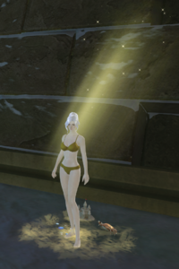 Endless Summer Human(Idle).png