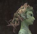 Exclusive hair - sylvari female 12 side.jpg