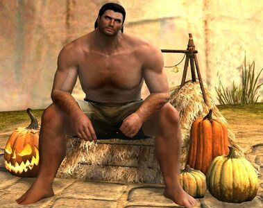 Festive Harvest Chair norn male.jpg