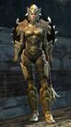 Lionguard norn heavy 1.jpg